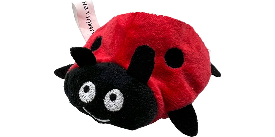 Gioco per gatti Aumüller Coccinella Dotty – 1…
