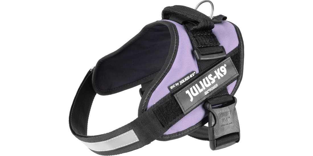 Pettorina Julius-K9 IDC viola – 58 – 76 cm circ…