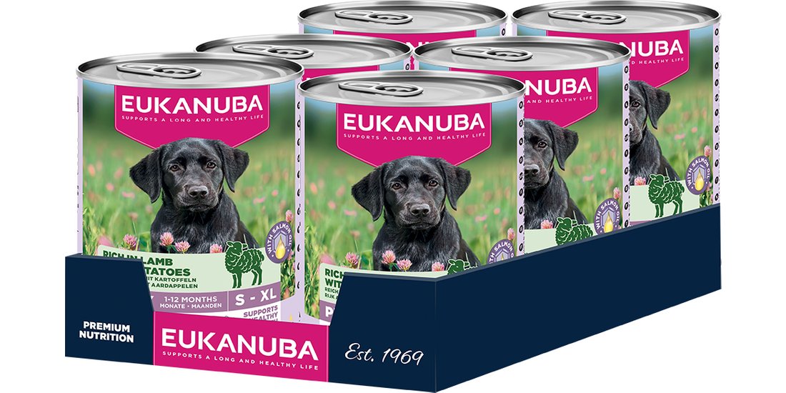 Eukanuba Puppy Ricco di Agnello con Patate – …