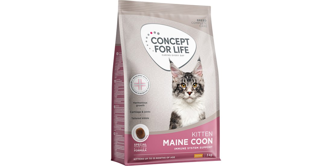 Concept for Life Maine Coon Kitten – 3 kg NUOVO…
