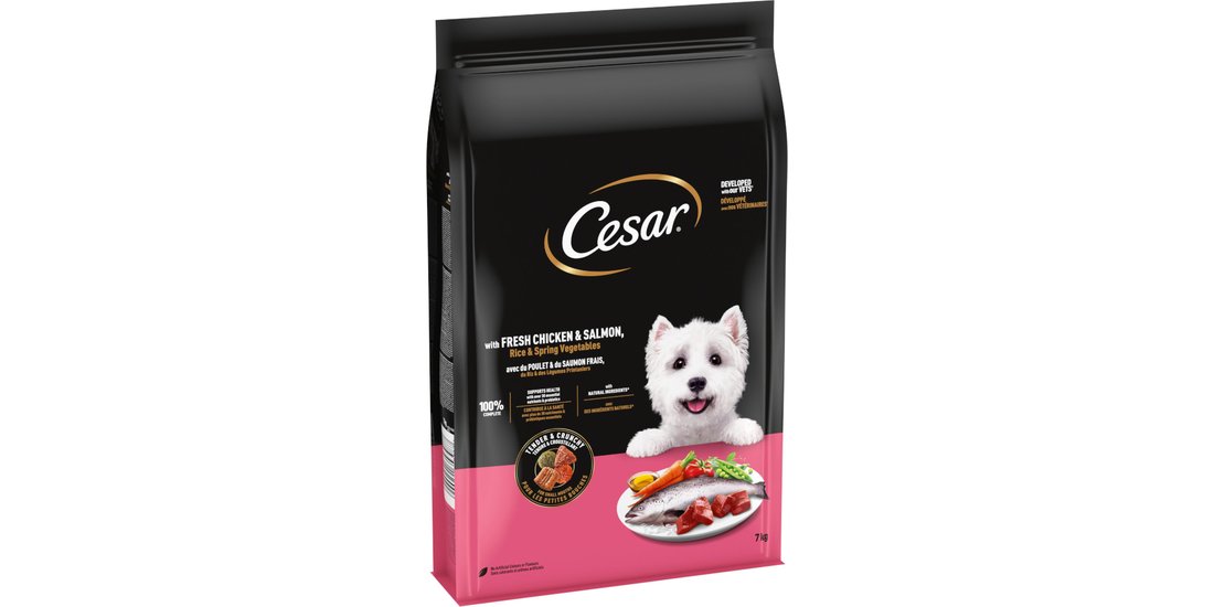 Cesar Adult con Pollo Salmone e Verdure – Set…