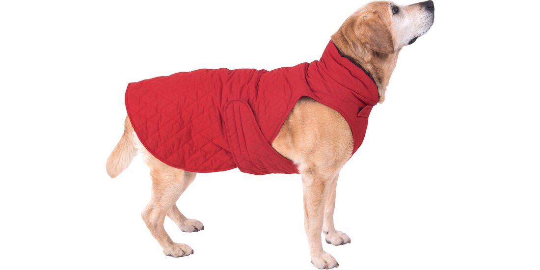 Mantella trapuntata per cane – XL: 70 cm lungh…