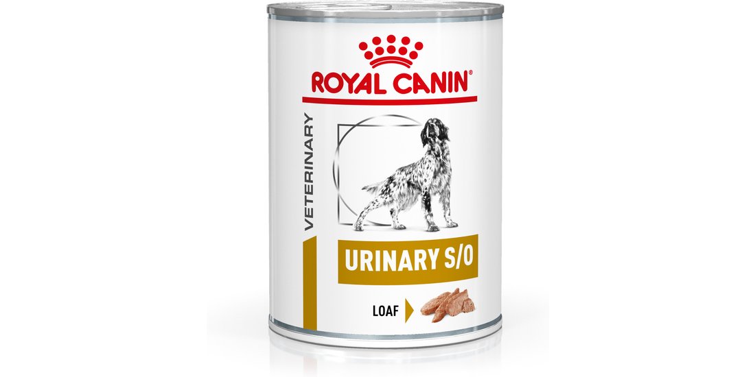Royal Canin Urinary S/O Canine Veterinary Mousse…