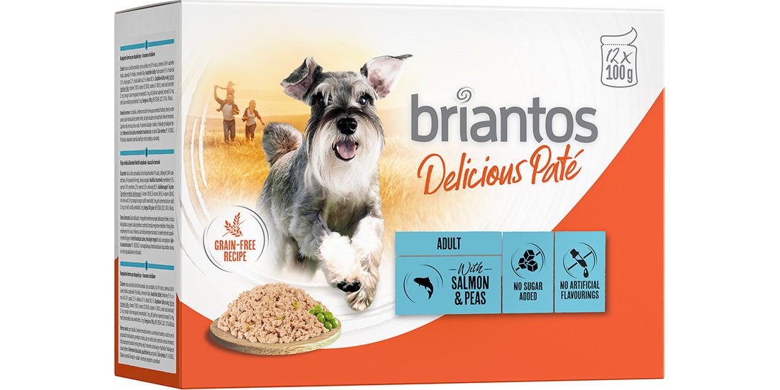 Briantos Delicious Paté 12 x 100 g Umido per …