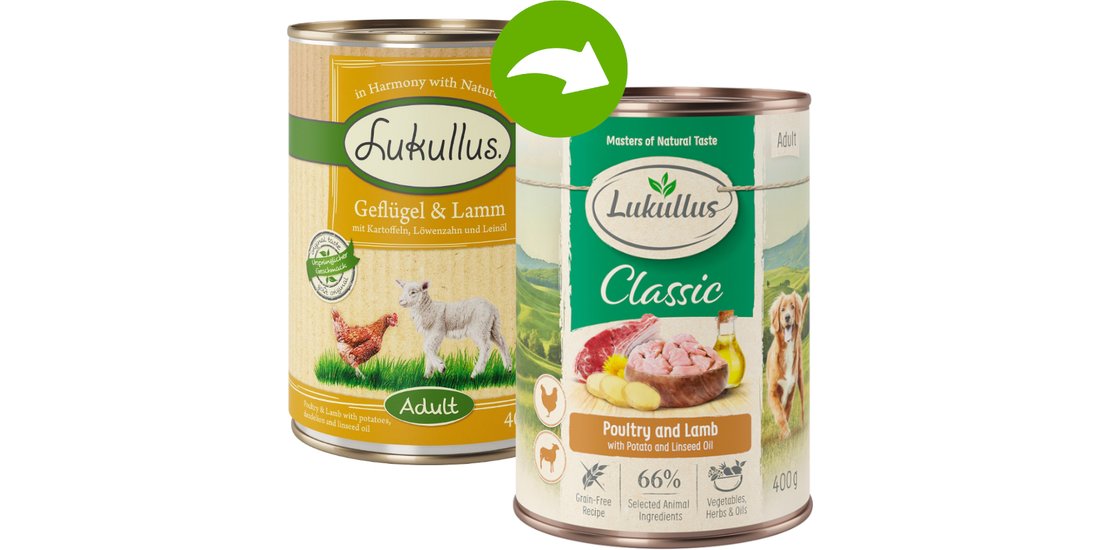 Lukullus Adult senza cereali 6 x 400 g – Tacchino…