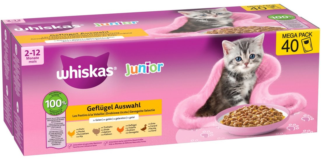 Whiskas Junior Buste 40 x 85 g – Pollame in Gelatina…