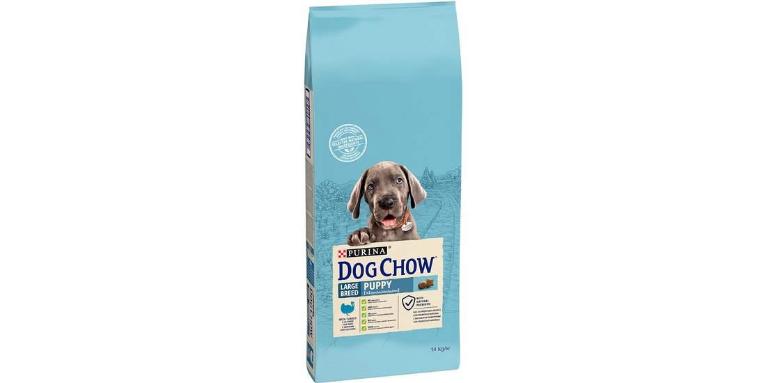 PURINA Dog Chow Puppy Large Breed Tacchino – …