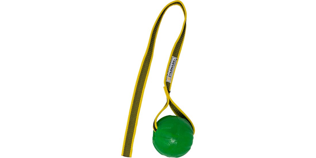 Starmark GripCord con Corda da masticare – Tg…