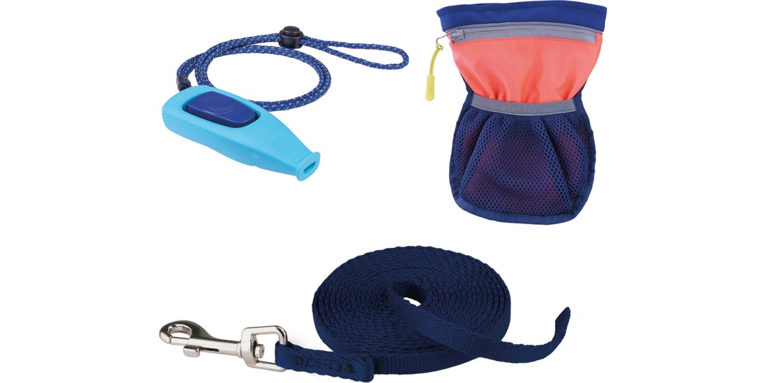 Coachi Puppy & Mini Kit per l’addestramento – …