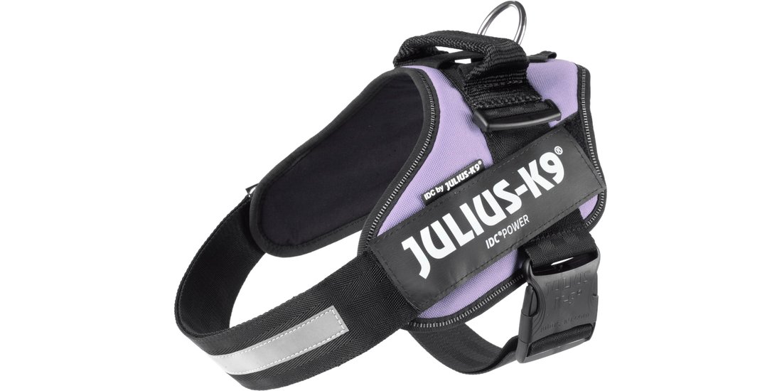 Pettorina Julius-K9 IDC viola – 63 – 85 cm circ…