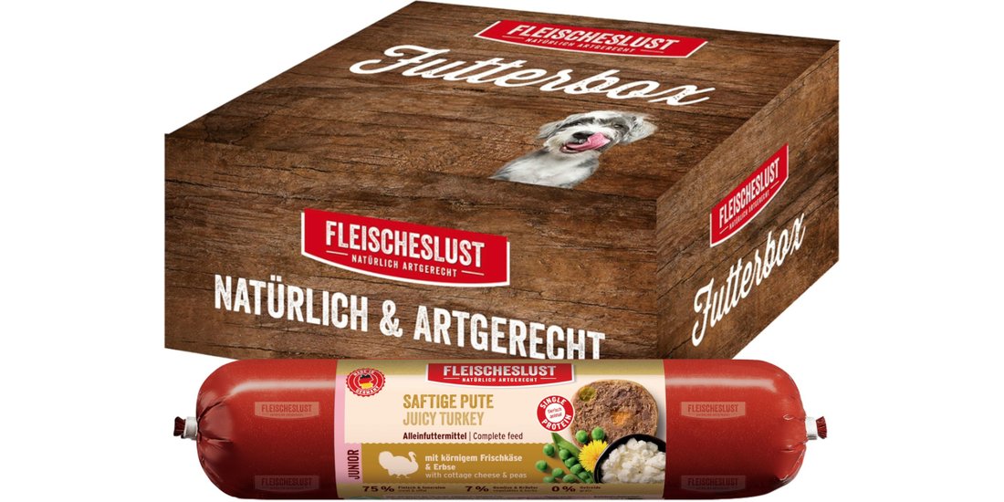 Fleischeslust Junior Classic 8 x 400 g – Tacchino…