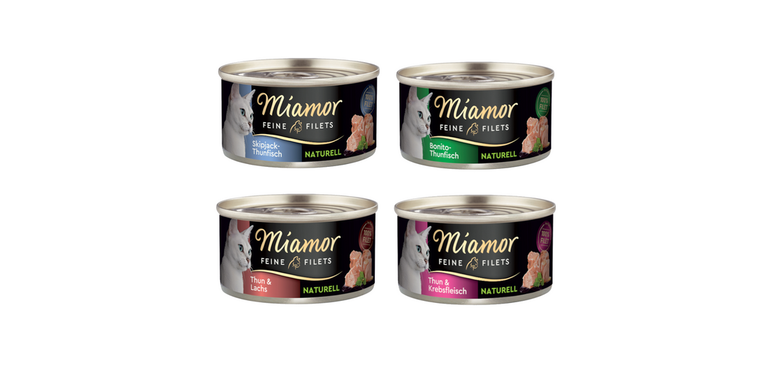 Miamor Delicato Filetto Naturale 24 x 80 g – …