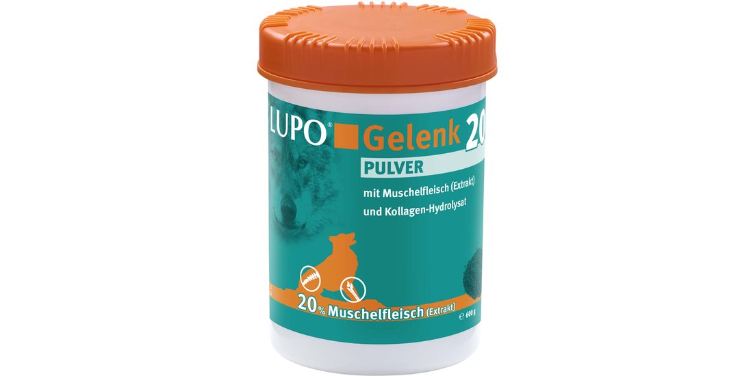 LUPOSAN Articolazioni 20 Polvere – 600 g