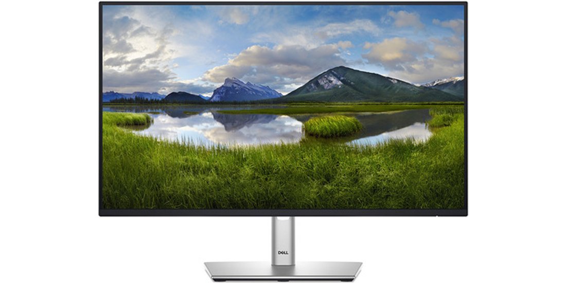 DELL Pro Plus P2425H Monitor PC 605 cm (23.8”) …