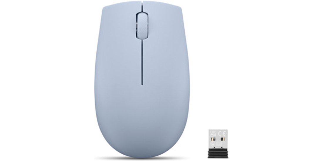 Lenovo 300 mouse Ufficio Ambidestro RF Wireless…