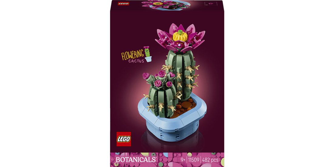 LEGO Botanicals 11509 Cactus in Fiore Pianta …