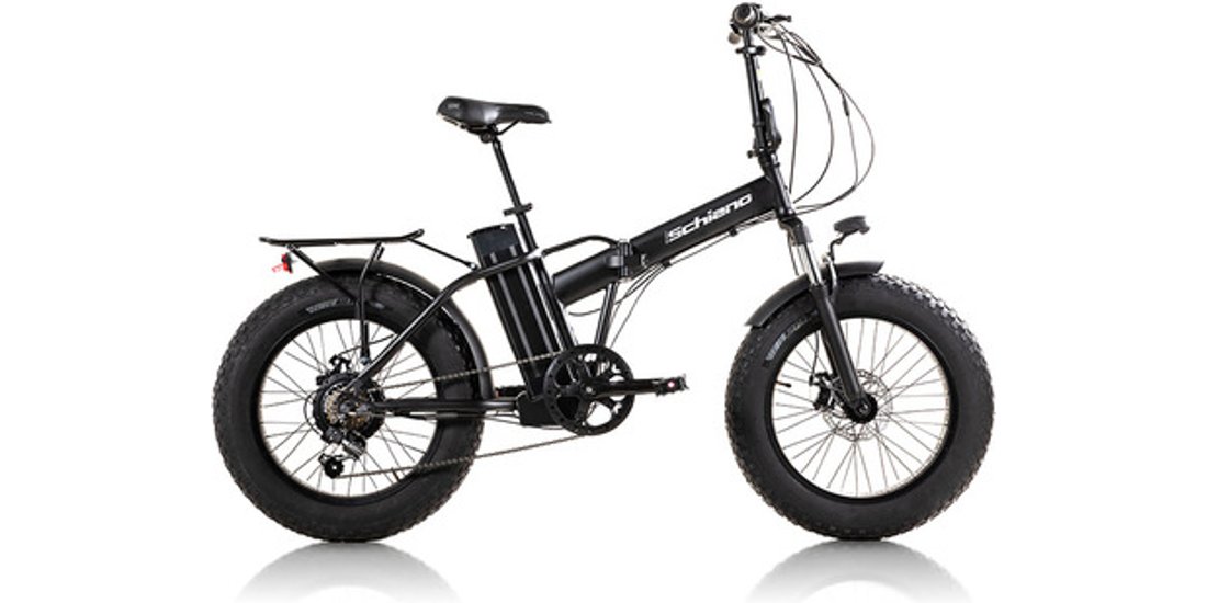 F.lli Schiano E- PANTHER FAT ACCIAIO BATT.48V…