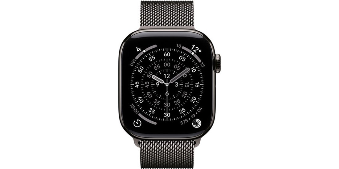 Apple Loop in maglia milanese ardesia (42 mm)