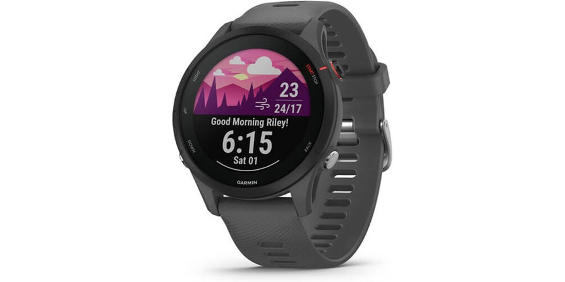Garmin Forerunner 255 33 cm (1.3”) MIP 46 mm…