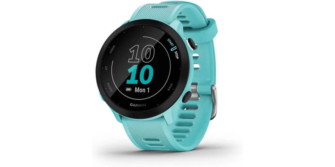 Garmin Forerunner 55 264 cm (1.04”) MIP 42 mm…