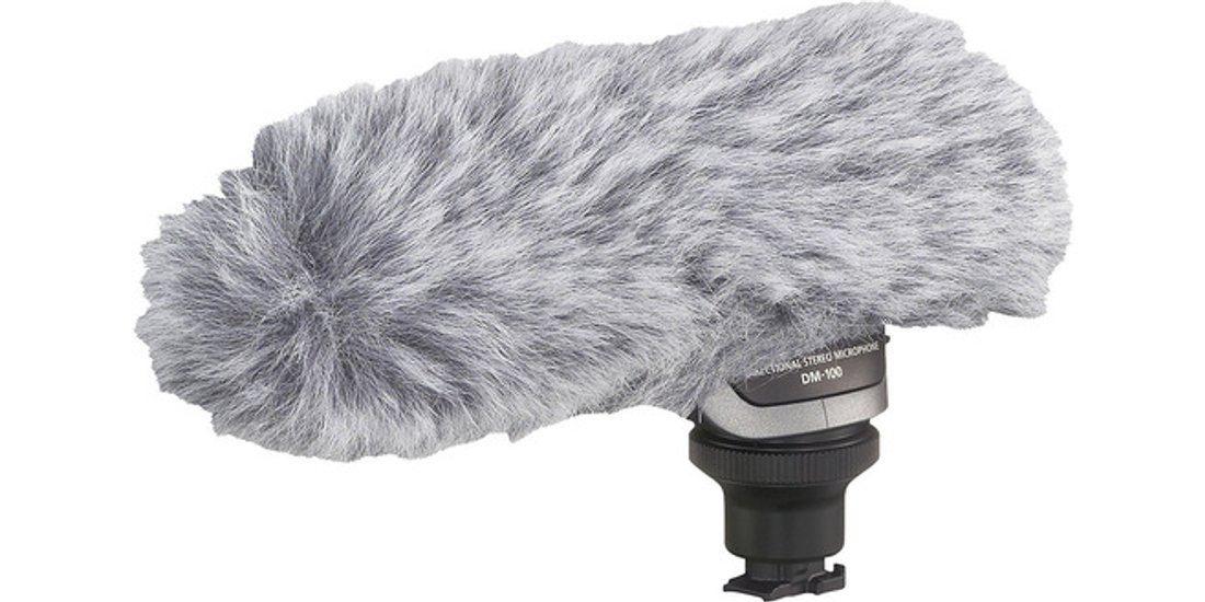 Canon Microfono stereo direzionale DM-100