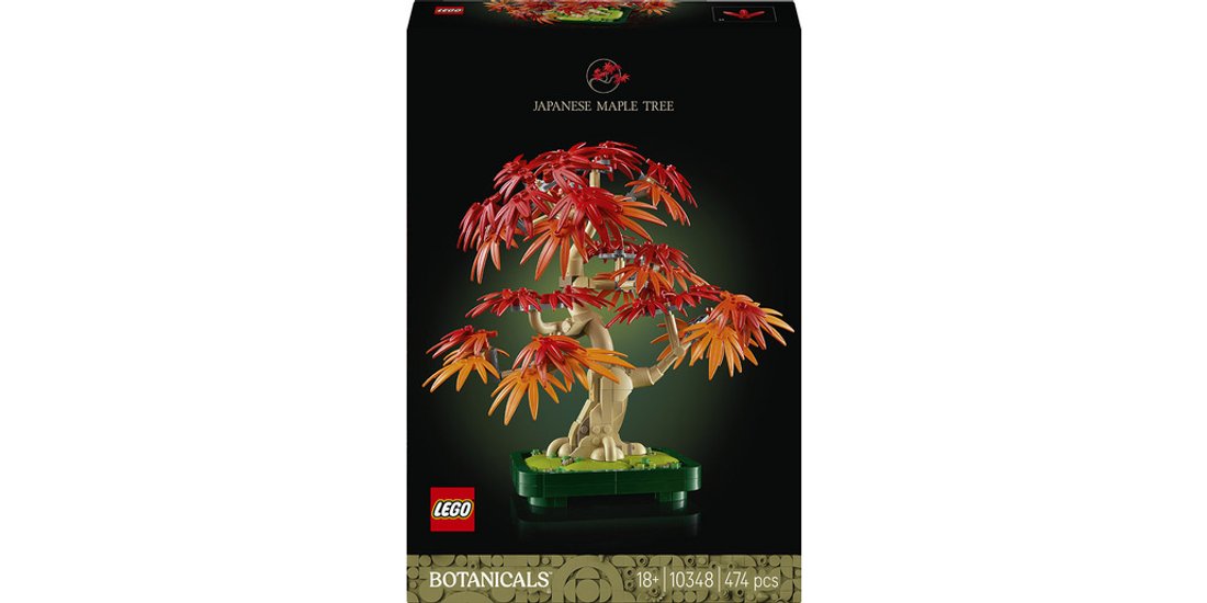 LEGO Botanicals 10348 Bonsai di Acero Rosso Giapponese…