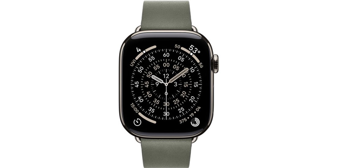 Apple Cinturino Modern grigio salvia (42 mm) – …