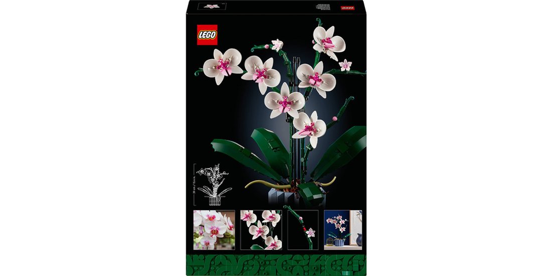 LEGO Botanicals Orchidea