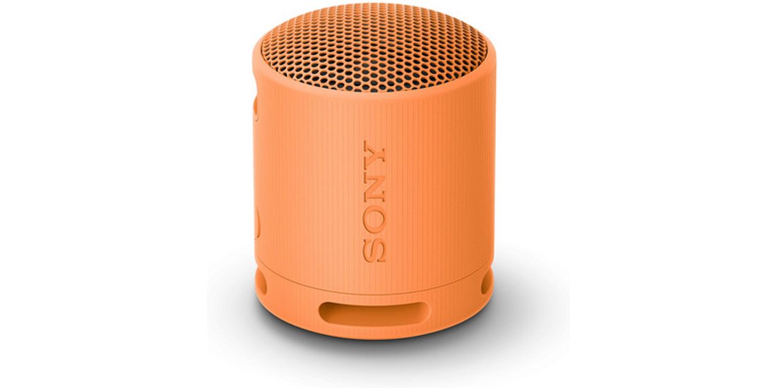 Sony SRS-XB100 – Speaker Wireless Bluetooth portatile…