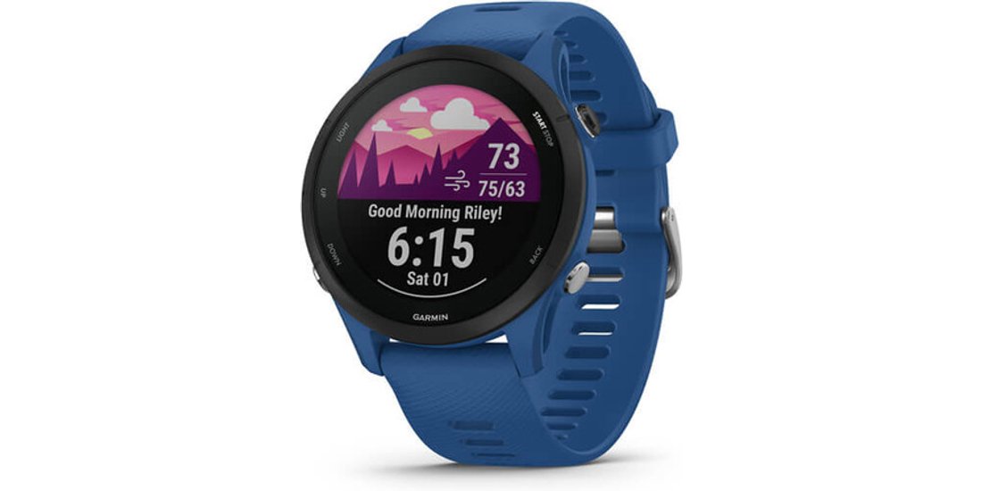 Garmin Forerunner 255 33 cm (1.3”) MIP 46 mm…