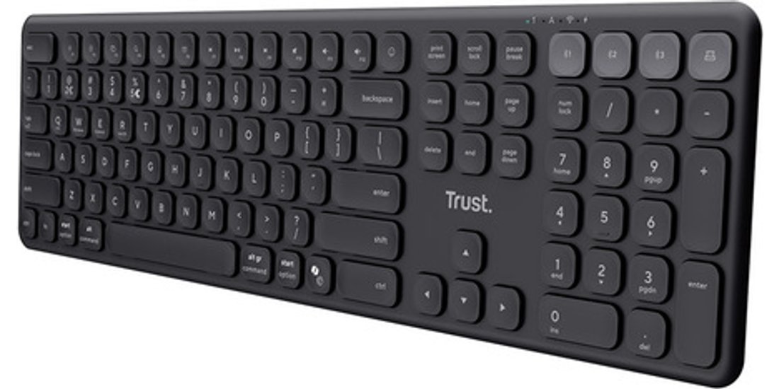 Trust Vaiya tastiera Universale USB + RF Wireless…