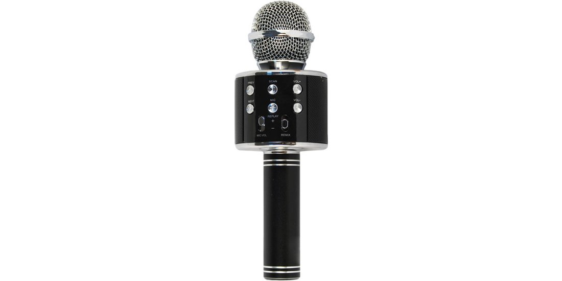 Xtreme Hollywood Nero Argento Microfono per karaoke…