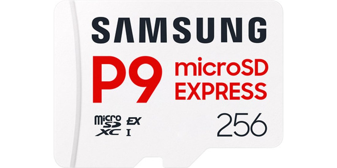 Samsung P9 Express microSD Memory Card 256 GB