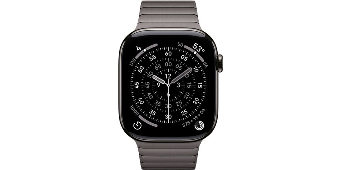Apple Bracciale a maglie ardesia (46 mm)