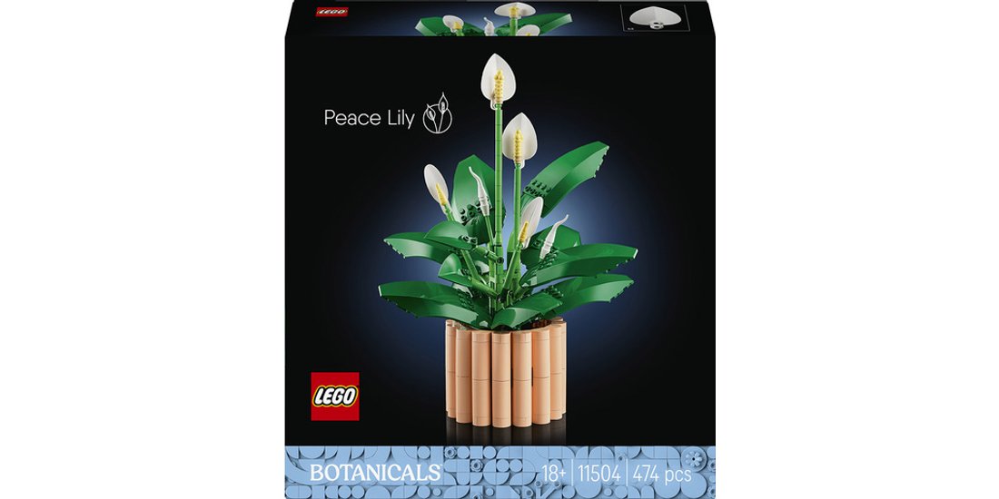 LEGO Botanicals 11504 Spatifillo Pianta Artificiale…