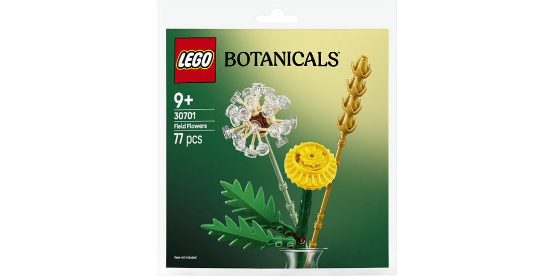 LEGO Botanicals Fiori di campo – 30701