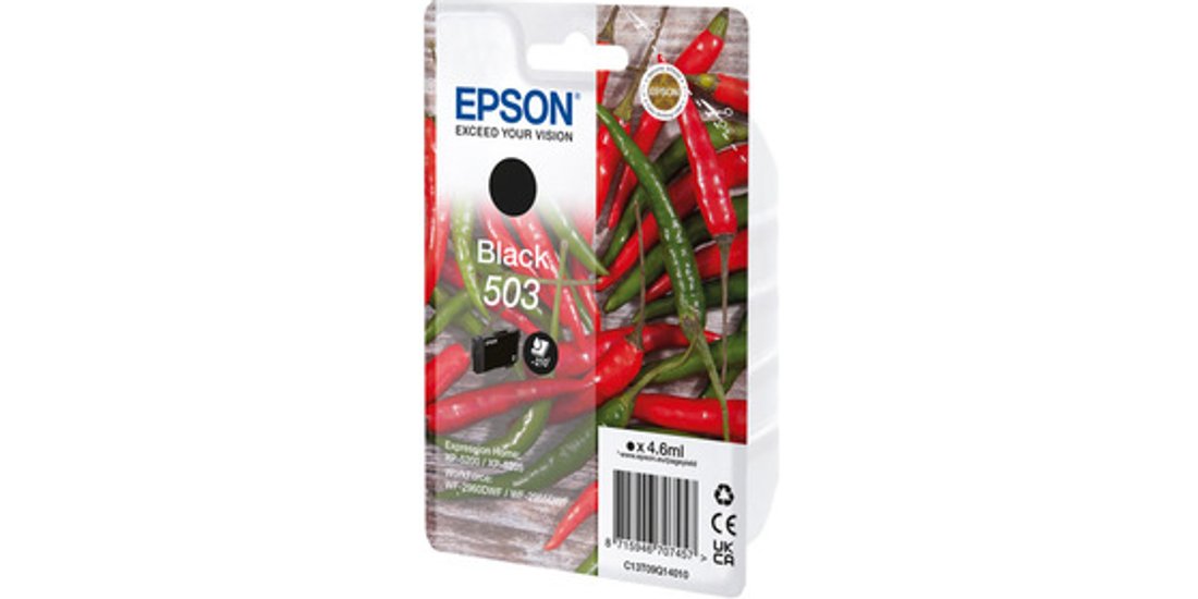 Epson Singlepack Black 503 Ink