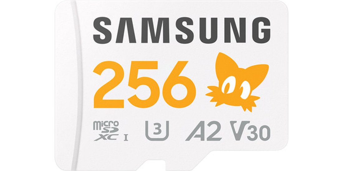 Samsung MB-MD256S 256 GB MicroSDXC UHS-I Classe…