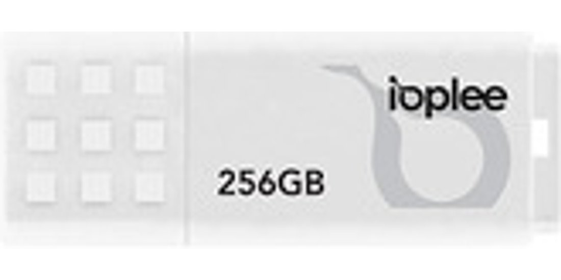 IOPLEE U3A256 unità flash USB 256 GB USB…