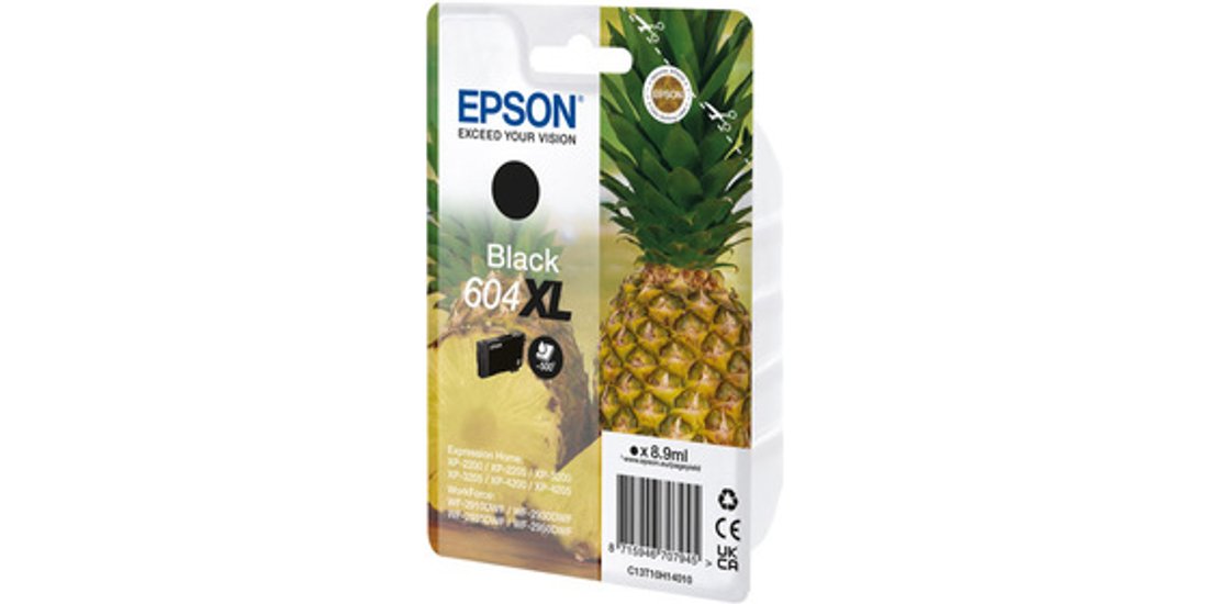 Epson Singlepack Black 604XL Ink