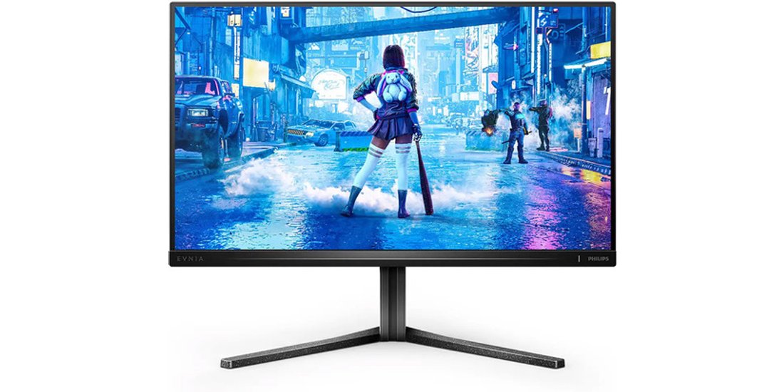 Philips Evnia 5000 25M2N5200P/00 Monitor PC 622…