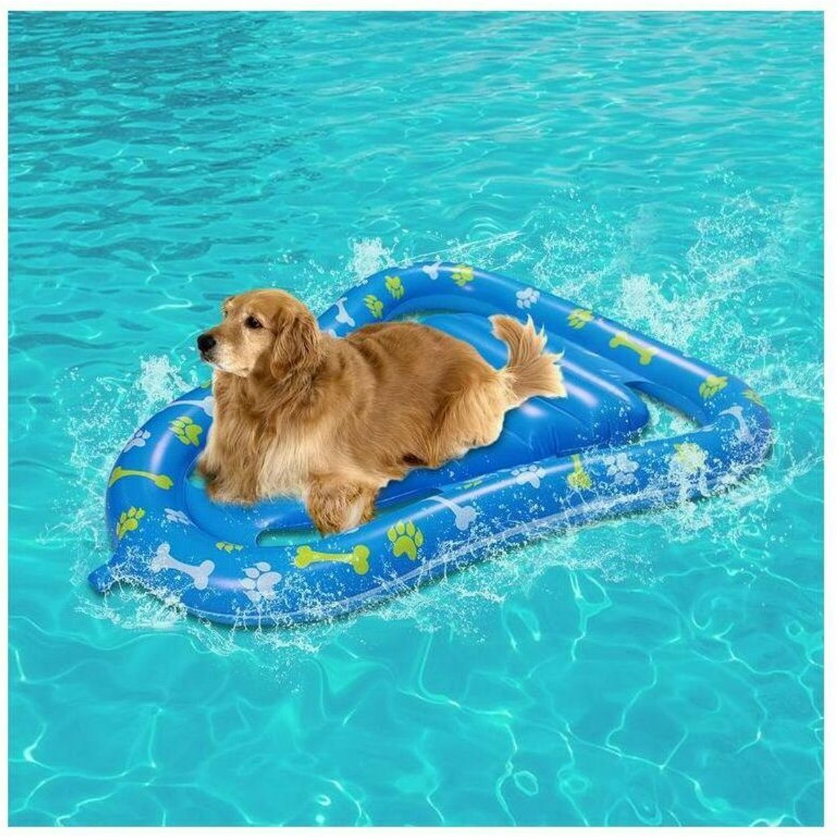 Flotteur de piscine pour chien – Flotteur de piscine gonflable pour chiens avec corde | Lit flottant flottant pour chien | Jouet de plage pour chien et chat | Flotteur doux rempli Flotteur de piscine pour chien – Flotteur de piscine gonflable pour chiens avec corde | Lit flottant flottant pour chien | Jouet de plage pour chien et chat | Flotteur doux rempli