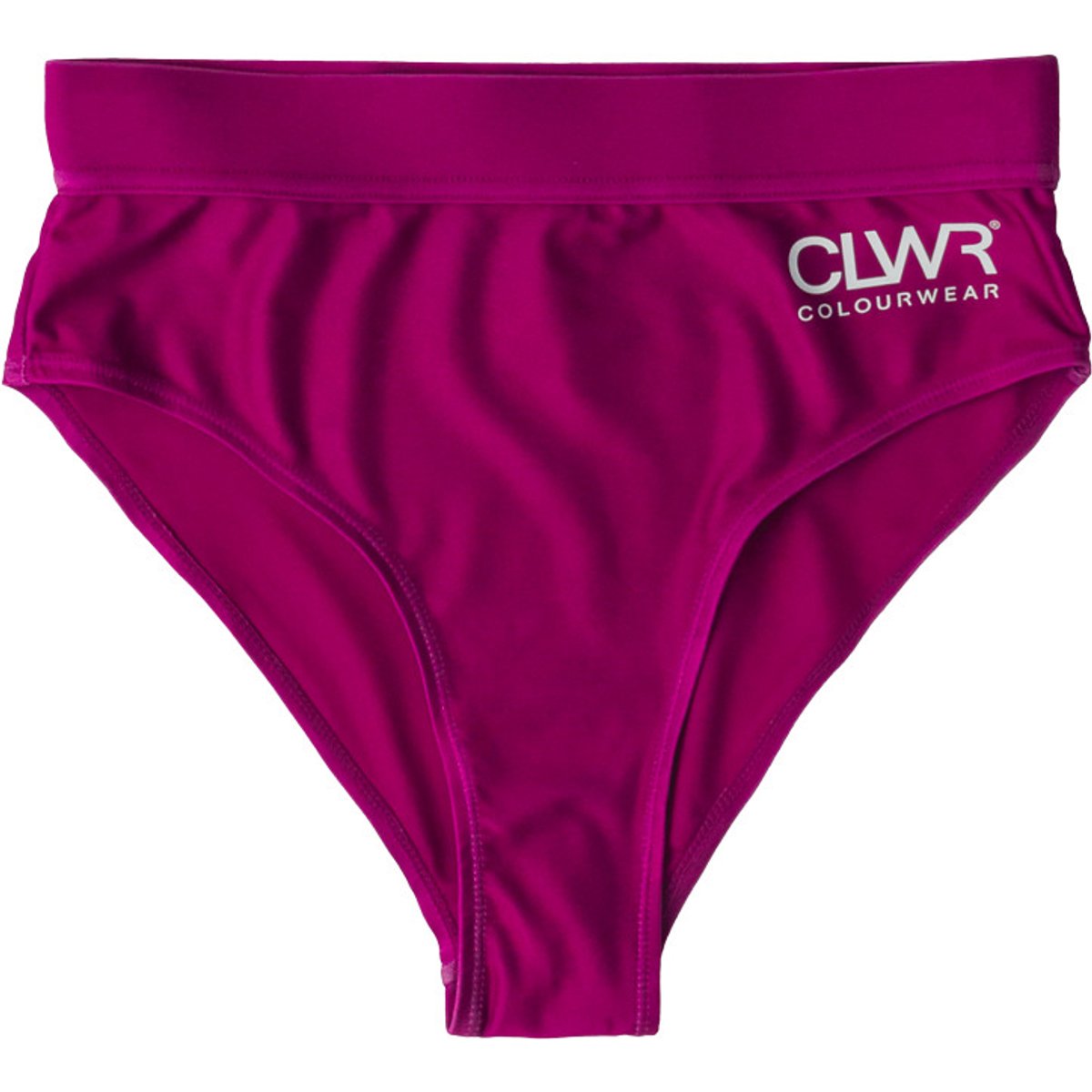 ColourWear Women's High Waist Bikini Bottom Purple
