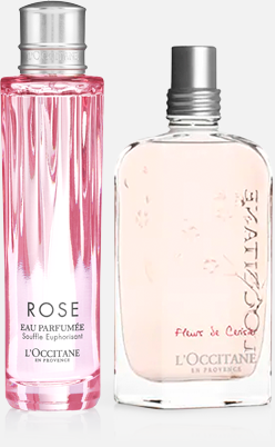 Imagem principal L'OCCITANE Rotina Duo Água de Colônia Alegria e Flor de Cerejeira L'OCCITANE en Provence L'OCCITANE en Provence