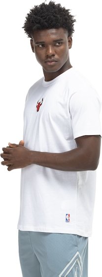 Camiseta do Chicago Bulls NBA Masculina Core