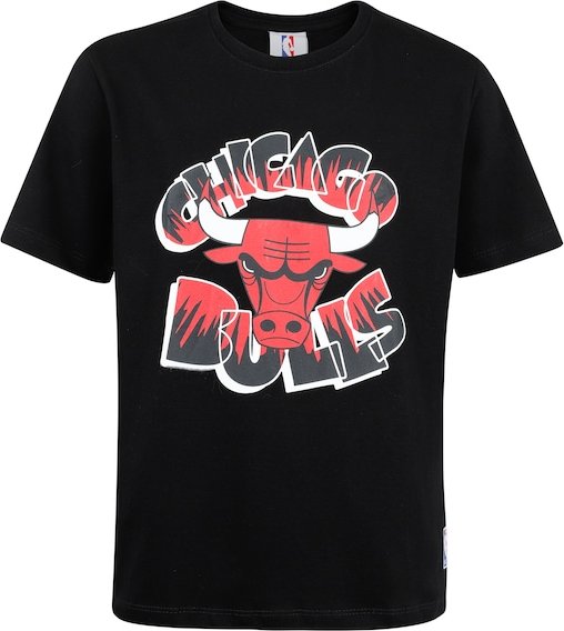 Camiseta do Chicago Bulls NBA Boom N1113 Juvenil