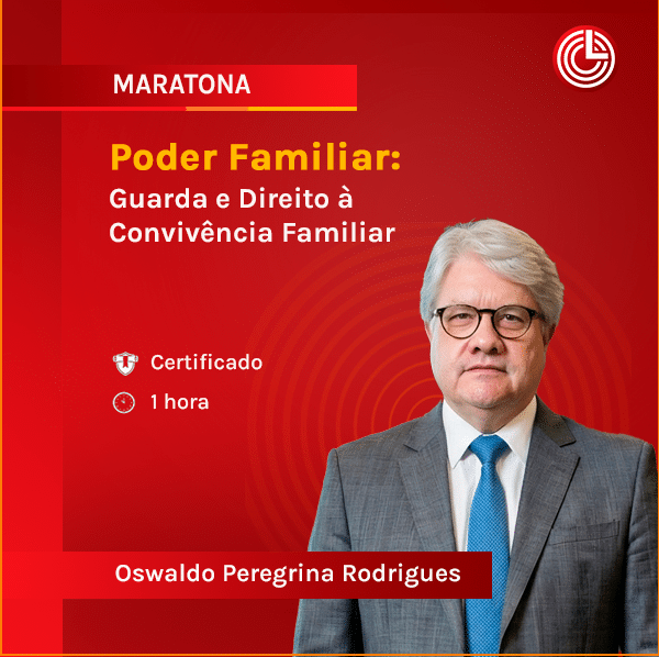 Imagem principal Poder Familiar: Guarda e Direito à Convivência Familiar