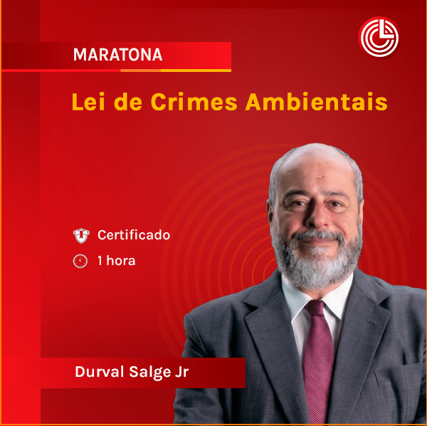 Imagem principal Lei de Crimes Ambientais