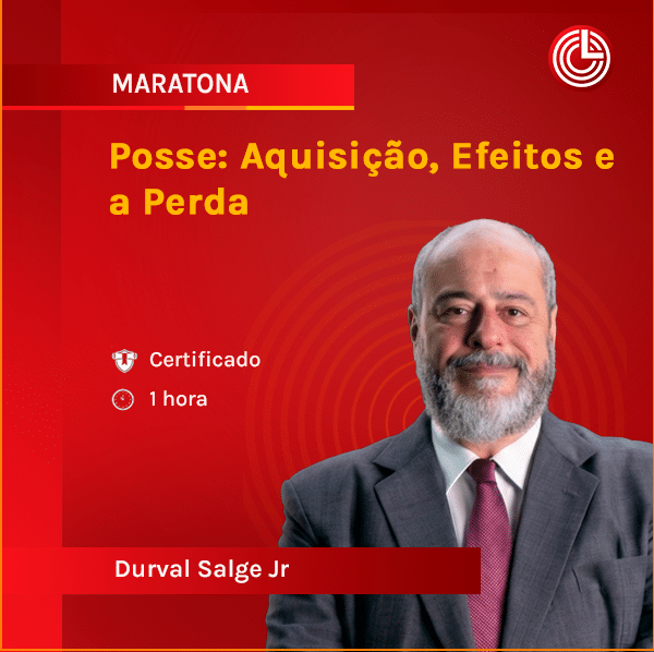 Imagem principal Posse: Aquisição, Efeitos e a Perda