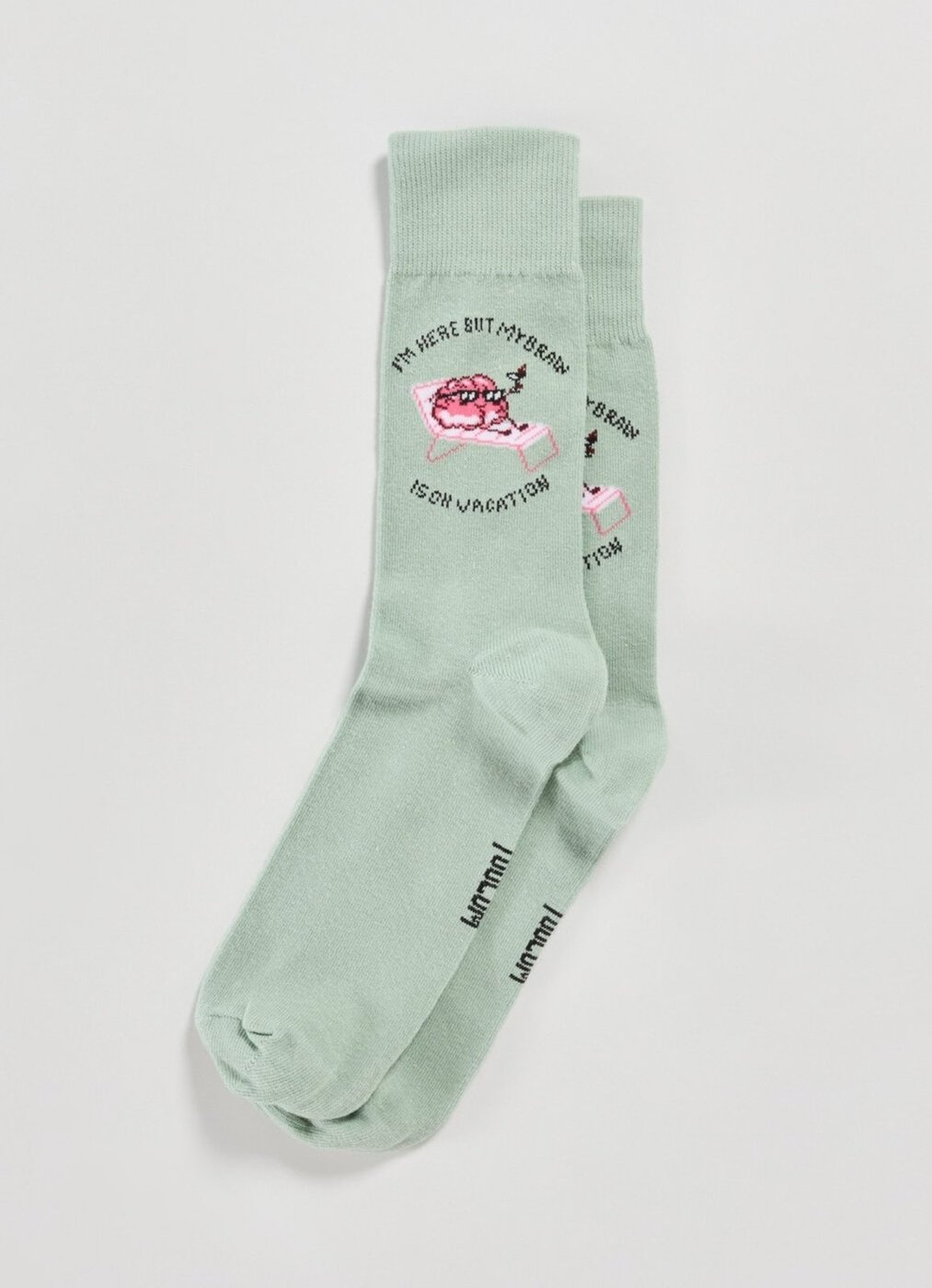 Meia Brain On Vacation